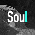 Soul v4.6.0