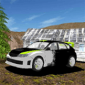 拉力赛车模拟器3D v1.3 v1.3