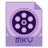 Dimo MKV Video Converter(视频格式转换软件) v4.6.1官方版