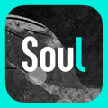 Soul v4.8.1