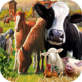 农场世界Mac版 V1.0.32V1.0.32