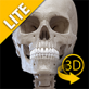 骨骼系统Mac版 V2.3.3V2.3.3